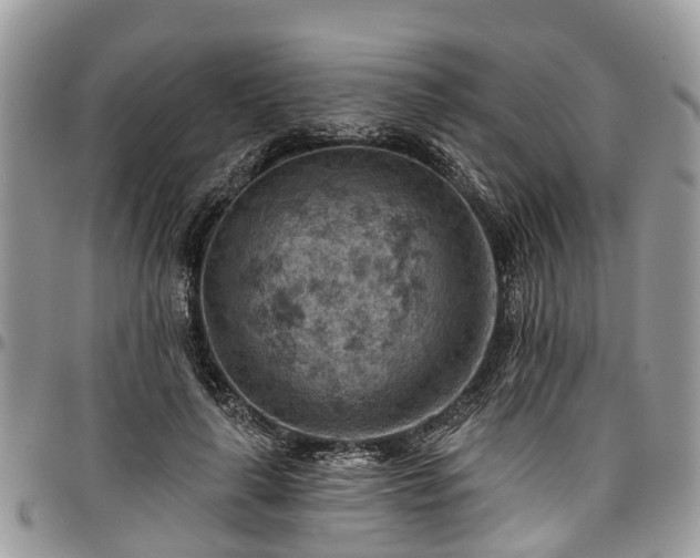 X0000096950643200802151238