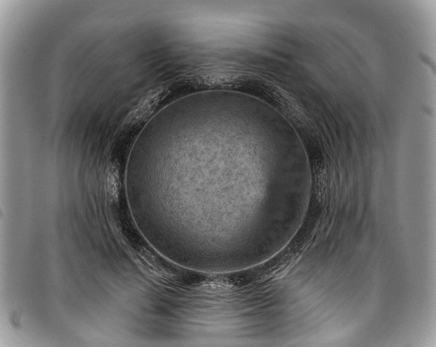 X0000096950644200802151238