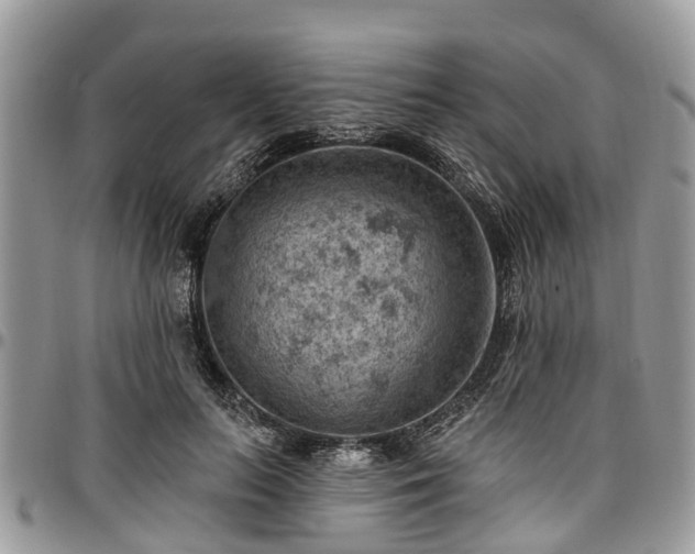 X0000096950647200802151238