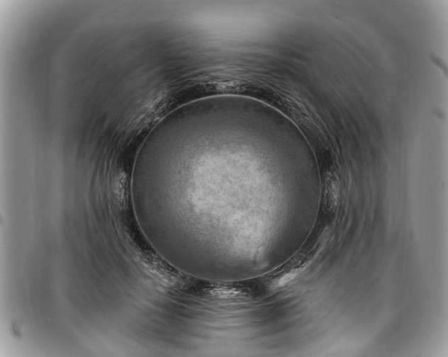 X0000096950650200802151238