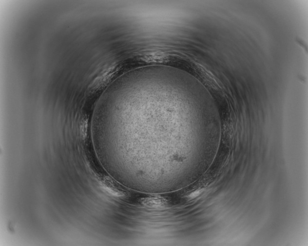 X0000096950652200802151238