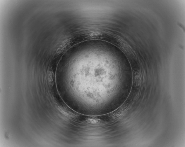 X0000096950654200802151238