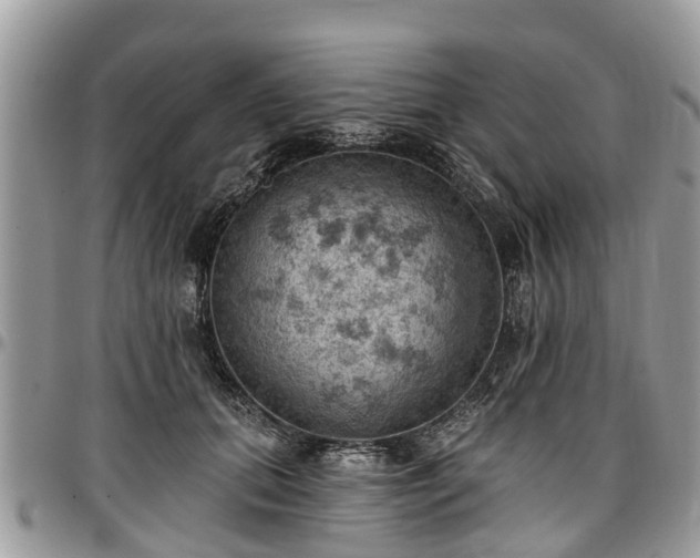 X0000096950655200802151238