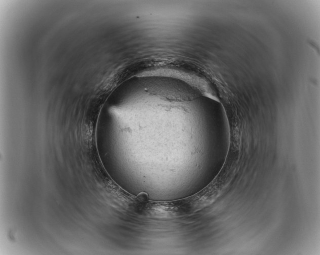 X0000096950657200802151238