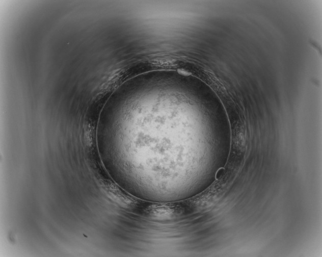 X0000096950658200802151238
