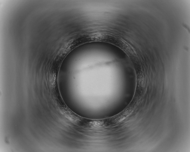 X0000096950660200802151239