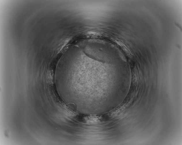 X0000096950661200802151239