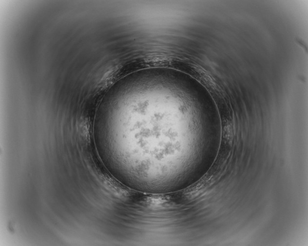 X0000096950662200802151239