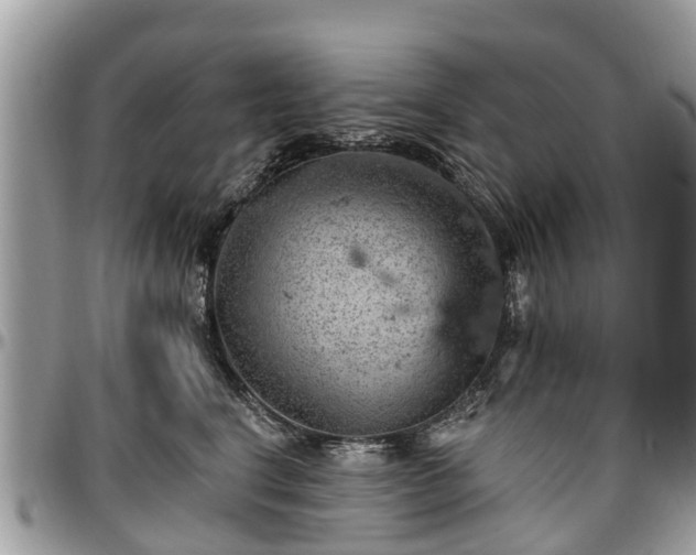 X0000096950664200802151239