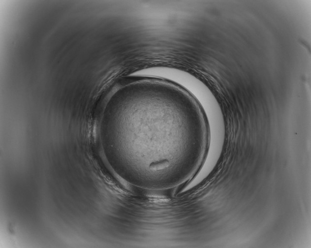 X0000096950665200802151239