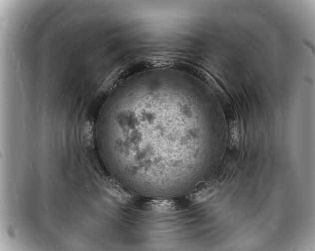 X0000096950667200802151239