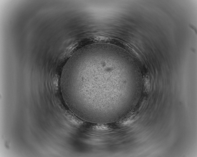 X0000096950668200802151239