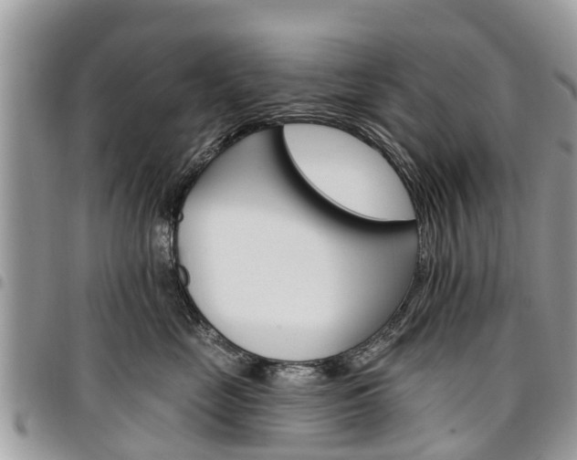 X0000096950669200802151239