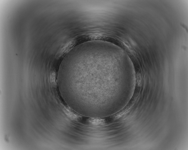 X0000096950670200802151239