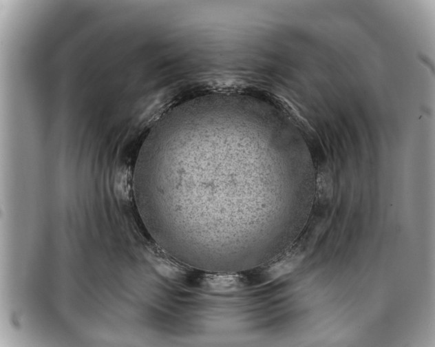 X0000096950671200802151239
