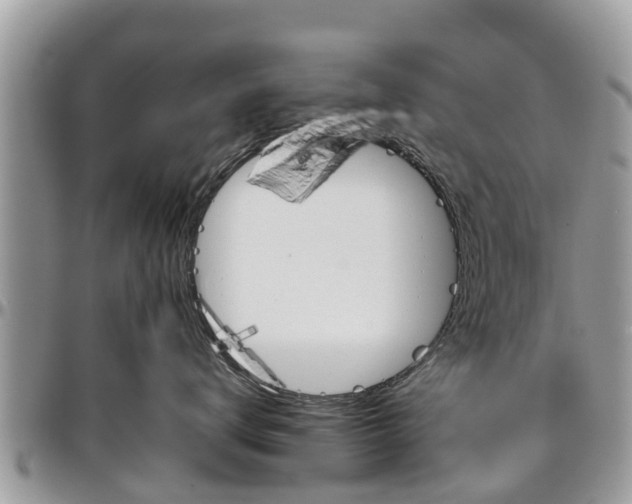 X0000096950672200802151239