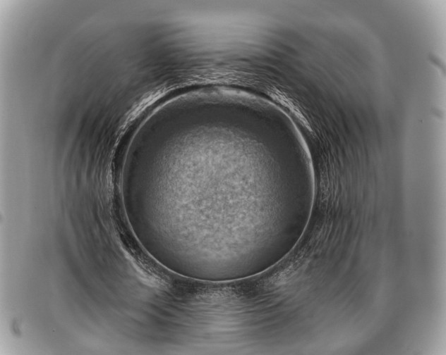 X0000096950674200802151238