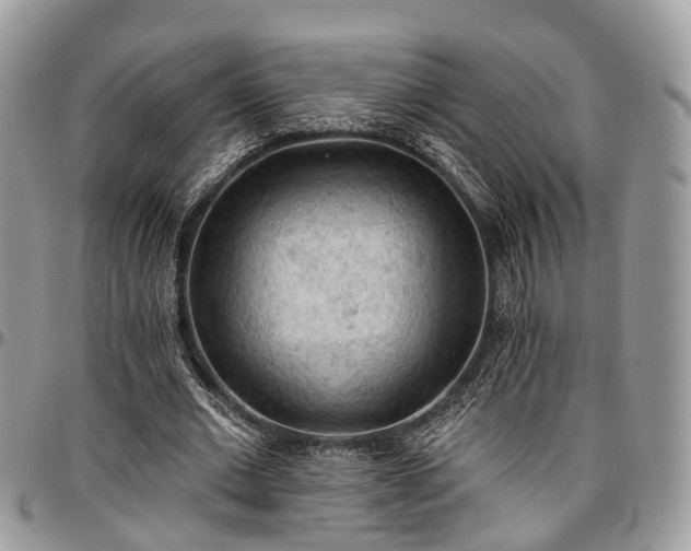 X0000096950677200802151238