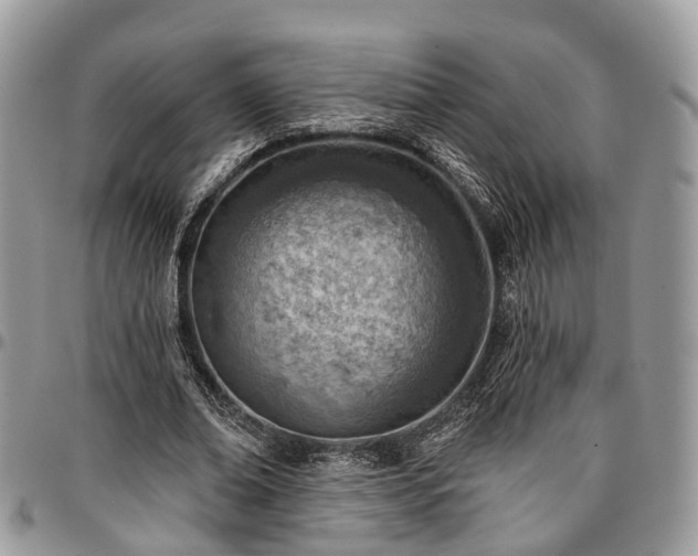 X0000096950678200802151238