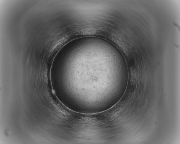 X0000096950681200802151238