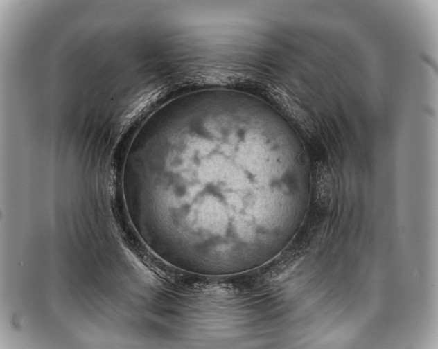 X0000096950683200802151238