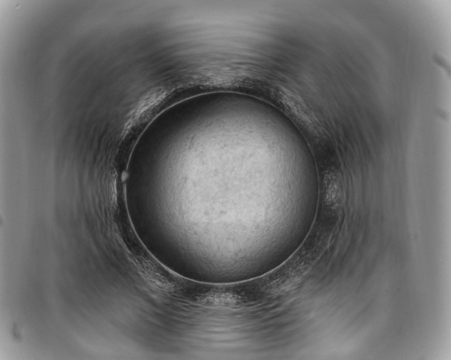 X0000096950685200802151238