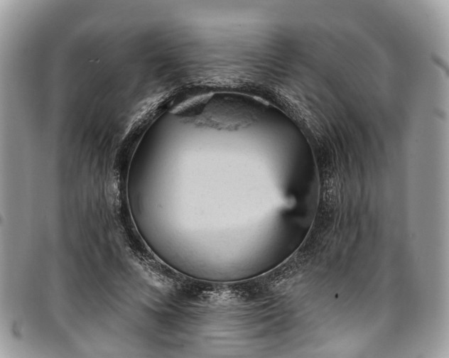 X0000096950688200802151238