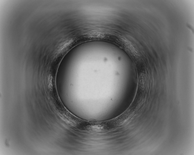X0000096950692200802151238