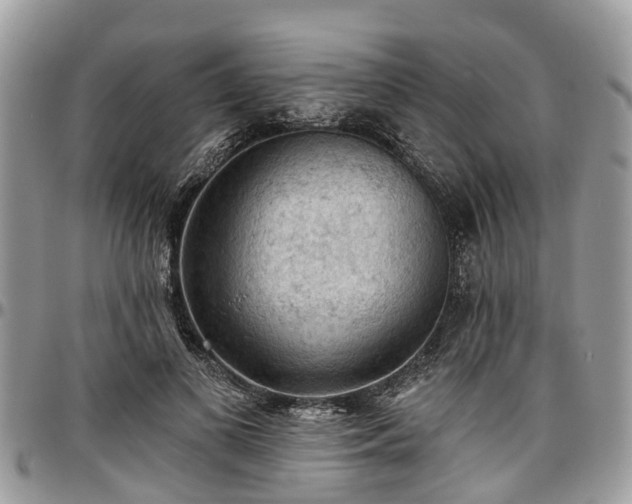 X0000096950693200802151238