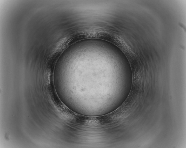 X0000096950694200802151238