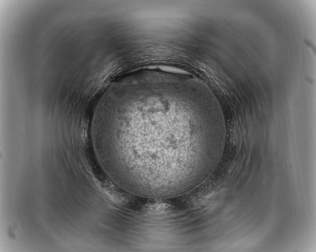 X0000096950695200802151238