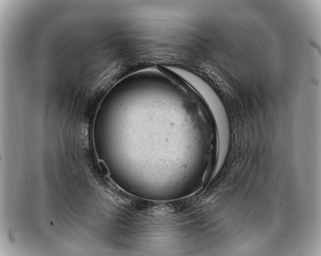 X0000096950696200802151238