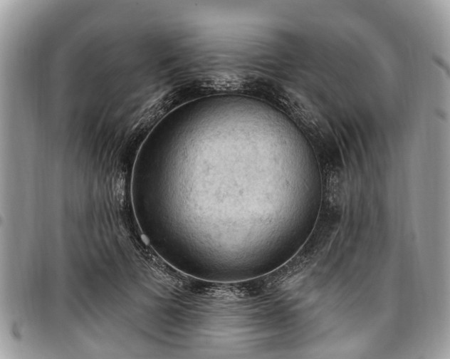 X0000096950697200802151238