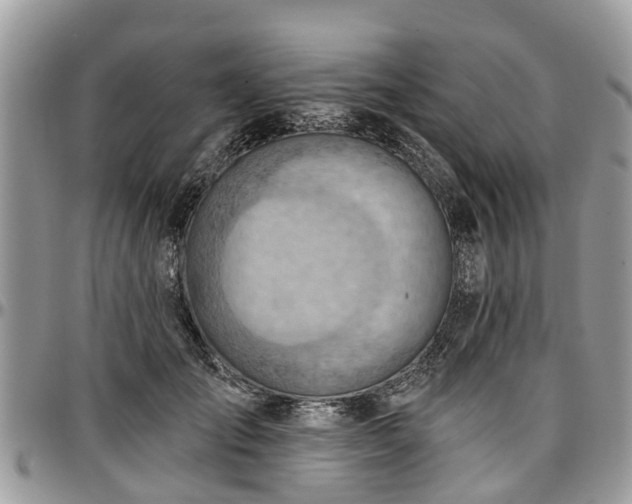 X0000096950701200802151237