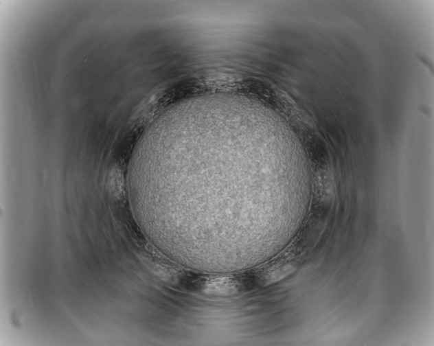 X0000096950705200802151237