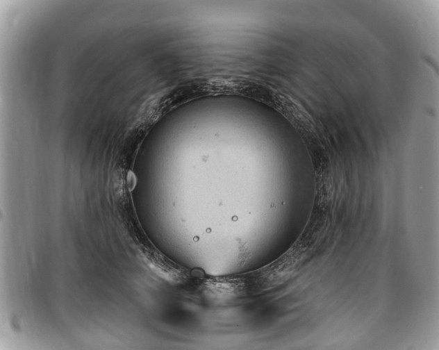 X0000096950706200802151237