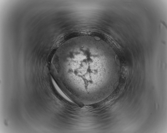 X0000096950707200802151237