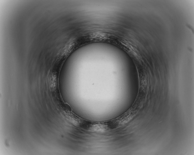 X0000096950708200802151237