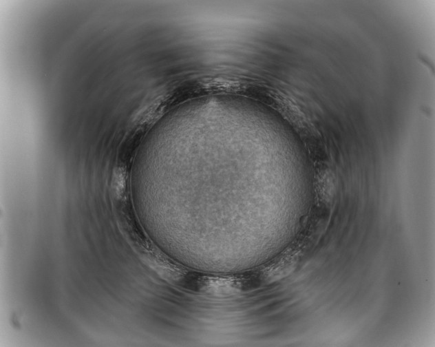 X0000096950709200802151237