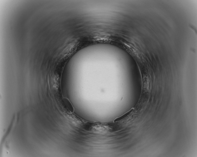 X0000096950712200802151237