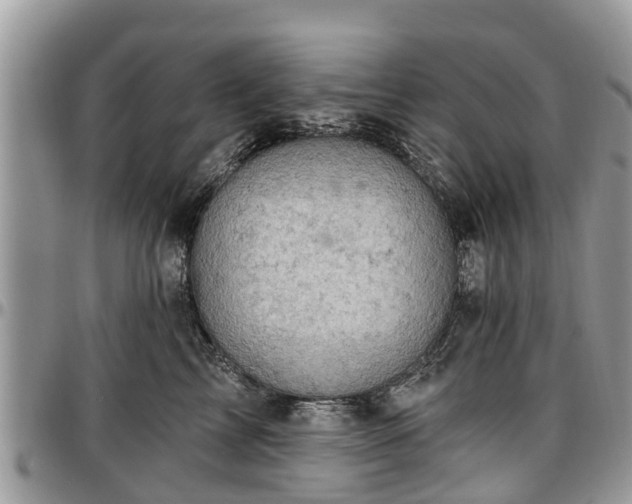 X0000096950713200802151237