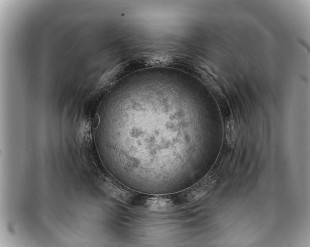 X0000096950714200802151237