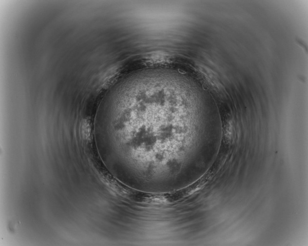 X0000096950715200802151237