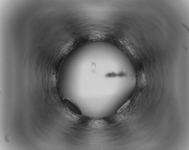 X0000096950716200802151237
