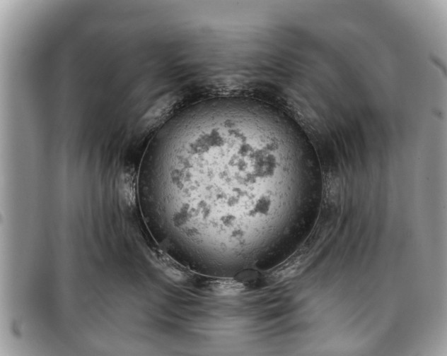 X0000096950719200802151237