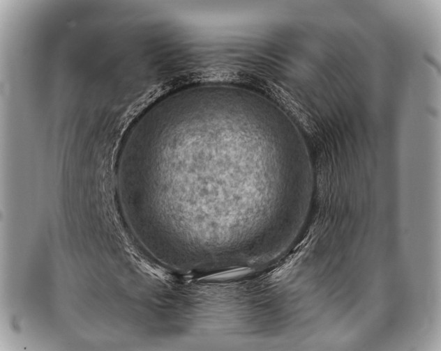X0000096950721200802151237