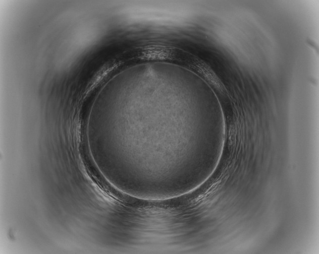 X0000096950722200802151237