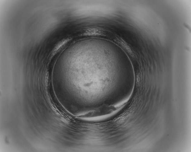 X0000096950724200802151237