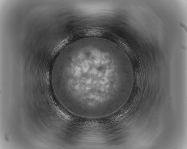 X0000096950729200802151237