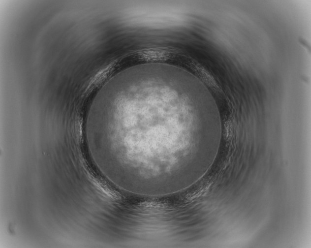 X0000096950733200802151237